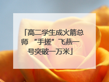 高二学生成火箭总师 “手搓”飞燕一号突破一万米