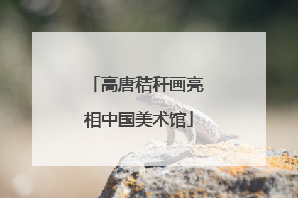 高唐秸秆画亮相中国美术馆