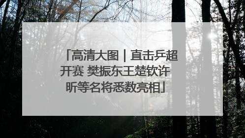 高清大图｜直击乒超开赛 樊振东王楚钦许昕等名将悉数亮相