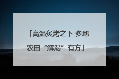 高温炙烤之下 多地农田“解渴”有方