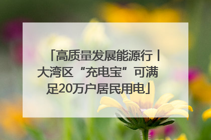 高质量发展能源行丨大湾区“充电宝”可满足20万户居民用电