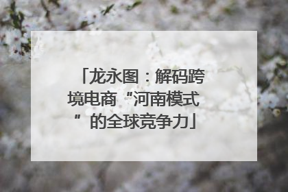 龙永图：解码跨境电商“河南模式”的全球竞争力