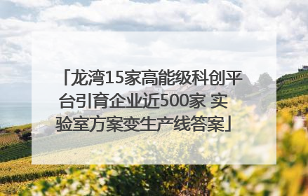 龙湾15家高能级科创平台引育企业近500家 实验室方案变生产线答案