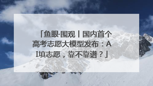鱼眼·围观丨国内首个高考志愿大模型发布：AI填志愿，靠不靠谱？