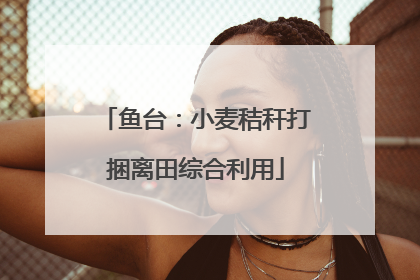 鱼台：小麦秸秆打捆离田综合利用