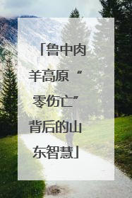 鲁中肉羊高原“零伤亡”背后的山东智慧