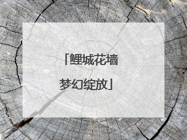 鲤城花墙 梦幻绽放