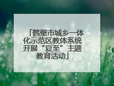 鹤壁市城乡一体化示范区教体系统开展“夏至”主题教育活动