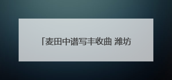 麦田中谱写丰收曲 潍坊滨海区夏收工作圆满完成
