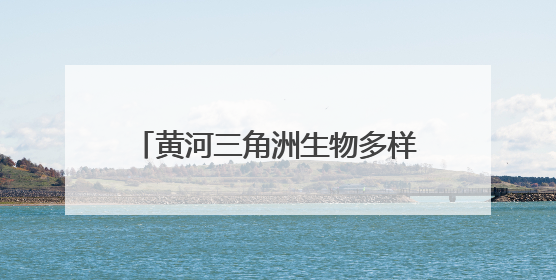 黄河三角洲生物多样性系列报道②飞羽翩跹处 和美共生时