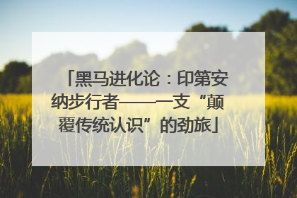 黑马进化论：印第安纳步行者——一支“颠覆传统认识”的劲旅