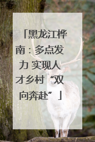 黑龙江桦南：多点发力 实现人才乡村“双向奔赴”