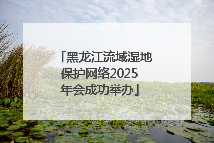 黑龙江流域湿地保护网络2025年会成功举办