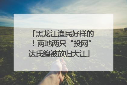 黑龙江渔民好样的！两地两只“投网”达氏鳇被放归大江