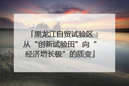 黑龙江自贸试验区：从“创新试验田”向“经济增长极”的质变