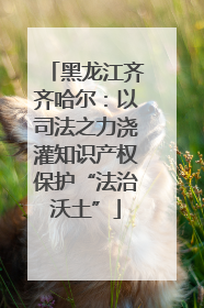 黑龙江齐齐哈尔：以司法之力浇灌知识产权保护“法治沃土”