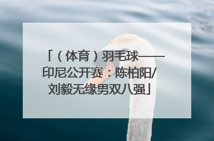 （体育）羽毛球——印尼公开赛：陈柏阳/刘毅无缘男双八强