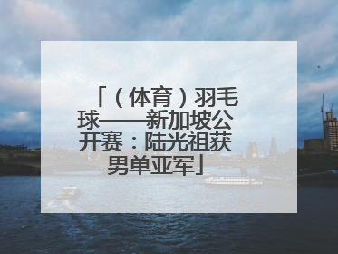 （体育）羽毛球——新加坡公开赛：陆光祖获男单亚军