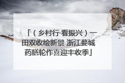 （乡村行·看振兴）一田双收绘新景 浙江婺城药膳轮作喜迎丰收季