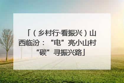（乡村行·看振兴）山西临汾：“电”亮小山村 “碳”寻振兴路