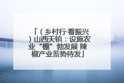 （乡村行·看振兴）山西天镇：设施农业“棚”勃发展 辣椒产业蓄势待发