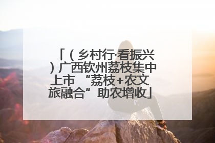 （乡村行·看振兴）广西钦州荔枝集中上市 “荔枝+农文旅融合”助农增收