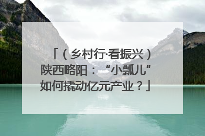 （乡村行·看振兴）陕西略阳：“小瓢儿”如何撬动亿元产业？