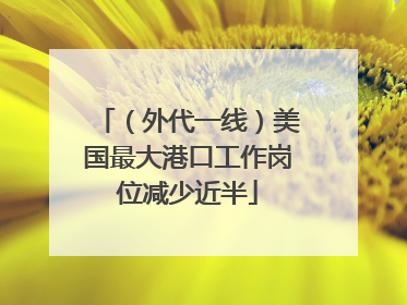 （外代一线）美国最大港口工作岗位减少近半