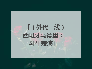 （外代一线）西班牙马德里：斗牛表演