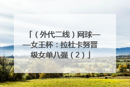 （外代二线）网球——女王杯：拉杜卡努晋级女单八强（2）