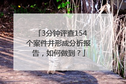 3分钟评查154个案件并形成分析报告，如何做到？