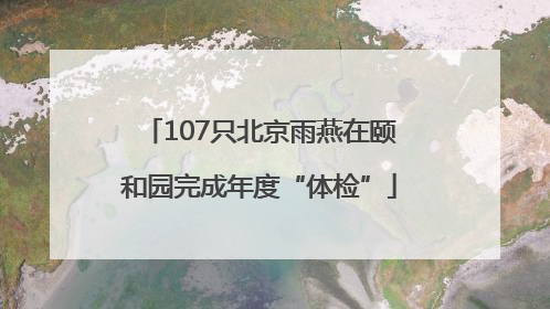 107只北京雨燕在颐和园完成年度“体检”