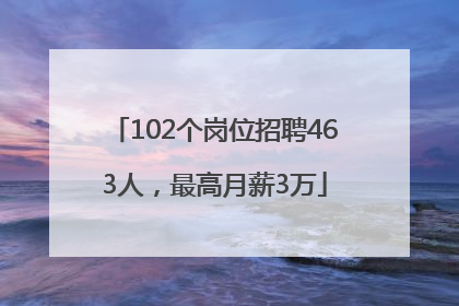 102个岗位招聘463人，最高月薪3万