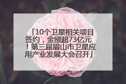 10个卫星相关项目签约，金额超73亿元！第三届眉山市卫星应用产业发展大会召开