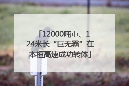 12000吨重、124米长“巨无霸”在本桓高速成功转体