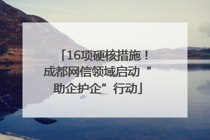 16项硬核措施！成都网信领域启动“助企护企”行动