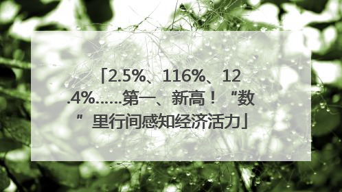 2.5%、116%、12.4%……第一、新高！“数”里行间感知经济活力