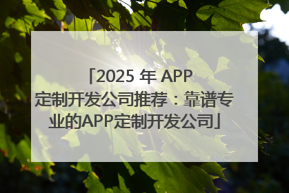 2025 年 APP 定制开发公司推荐：靠谱专业的APP定制开发公司