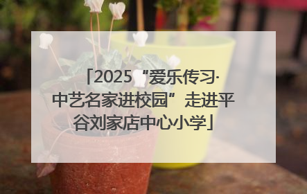 2025“爱乐传习·中艺名家进校园”走进平谷刘家店中心小学
