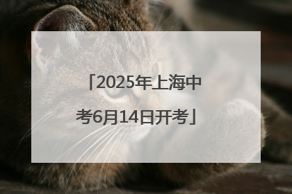 2025年上海中考6月14日开考