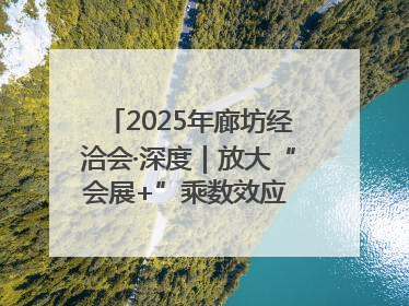2025年廊坊经洽会·深度｜放大“会展+”乘数效应 打造消费新场景