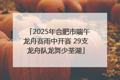 2025年合肥市端午龙舟赛雨中开赛 29支龙舟队龙舞少荃湖