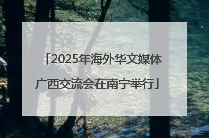 2025年海外华文媒体广西交流会在南宁举行
