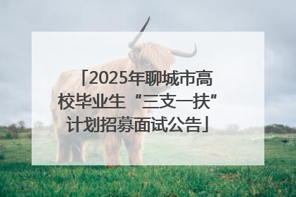 2025年聊城市高校毕业生“三支一扶”计划招募面试公告
