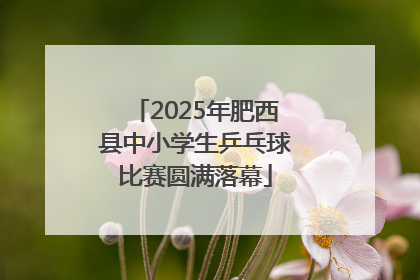 2025年肥西县中小学生乒乓球比赛圆满落幕