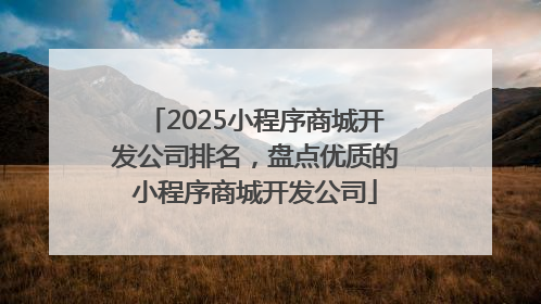 2025小程序商城开发公司排名，盘点优质的小程序商城开发公司