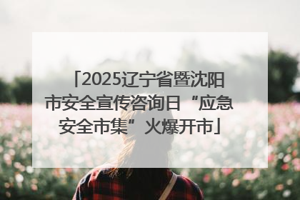 2025辽宁省暨沈阳市安全宣传咨询日“应急安全市集”火爆开市