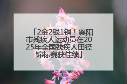2金2银1铜！襄阳市残疾人运动员在2025年全国残疾人田径锦标赛获佳绩
