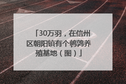 30万羽，在信州区朝阳镇有个鹌鹑养殖基地（图）