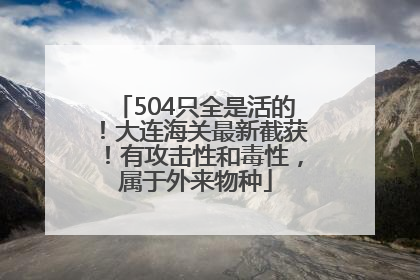 504只全是活的！大连海关最新截获！有攻击性和毒性，属于外来物种